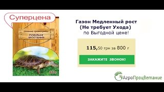 Газон Декоративный. Не требующий Ухода и Плодородной Почвы!