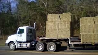 FREIGHT LINER HAY TRUCK 🚚. 1-10-22.