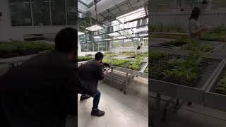 Getting some smooth moves in the greenhouse 🌱🎥 #videography #filmmaking #gimbal #camera #cameraman