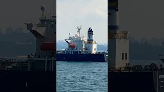 Vessel ANDES anchoring at Singapore #ship #vessel