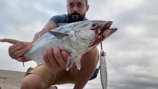 Spinning a caccia di predatori tra Tonni e Alletterati