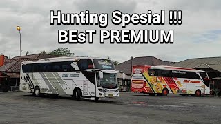 Hunting Bus Best Premium