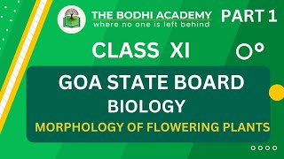 GOA BOARD || CLASS 11 || MORPHOLOGY OF FLOWERING PLANTS || PART 1