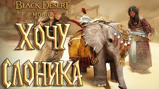 Black Desert Mobile - Хочу Слоника / Пустыня / Земли Мужества