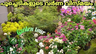 പൂച്ചെടികളുടെ വർണ വിസ്മയം😍/Garden tour malayalam/Fidhus world |