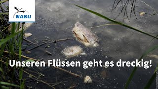 Unseren Flüssen geht es dreckig – Helfen wir ihnen!