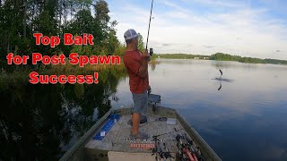 Top Bait! To Catch Post Spawn Bass