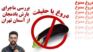 بررسی صحت ماجرای بارش بادمجان