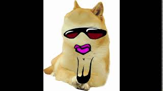 dogebag