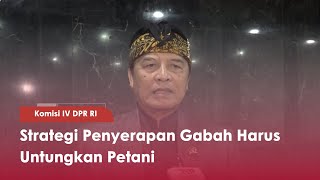 Komisi IV DPR RI Strategi Penyerapan Gabah Harus Untungkan Petani - TVR 120