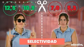 ¿Qué es la NOTA DE CORTE?