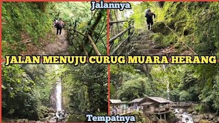 JALAN MENUJU CURUG MUARA HERANG BOGOR