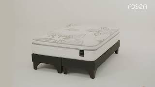 CAMA EUROPEA Art 4