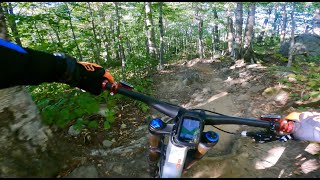 killington bike park: 9/19/20 a trip down rabbit hole