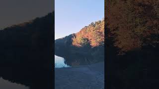 Golden Foliage in October #DreamTrackAI #fall #Foliage #nature #funhike #Hike #hikingadventures