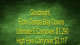 Tampa Bay Downs Live Stream