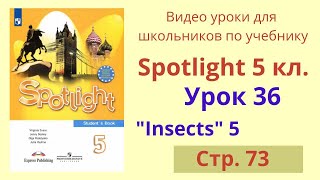 Spotlight 5 класс (Спотлайт 5) Английский в фокусе 5кл./ Урок 35, Unit 5 стр.73