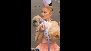 Ariana Grande has fan’s dog thrust at her at Wicked event