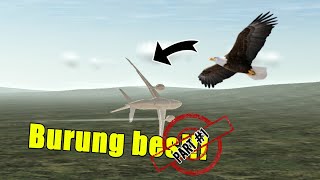 BURUNG BESII!! Part#1 | RFS real flight simulator android