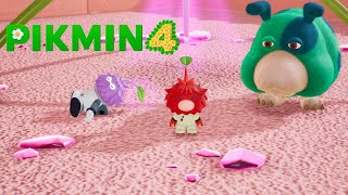 Pikmin 4 Minigames Battle in a box