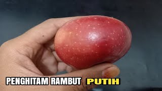 SUAMI MELONGO !!! SEMUA UBAN IBU KEMBALI HITAM