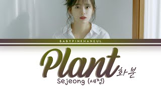 Sejeong (세정) - Plant (화분) Color Coded lyrics 가사 歌詞 [HAN/ROM/ENG]