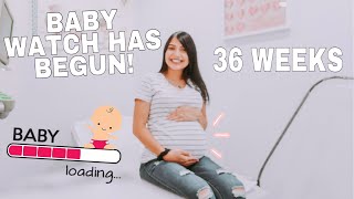 STRETCH MARKS & NAUSEA | 36 WEEKS PREGNANCY UPDATE