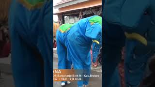 Angling buana lagu linting daun #burok#shorts