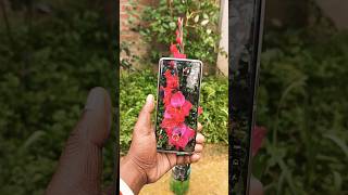 Vivo T2 Pro 🤯🔥 5G display #shorts #viral #fixupclub