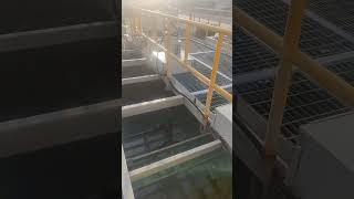 Agitator in Clarifier for Mixing