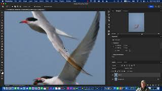 How to use of the Patch Tool of Photoshop - Beginners Tutorial