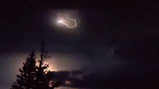 Wild Lightning