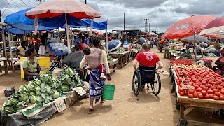 Op pad! | Voorbereidingsreis Zambia Onbeperkt