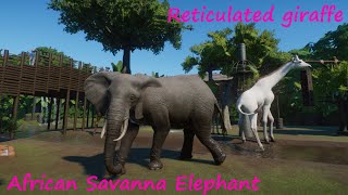 African Savanna Elephant and Reticulated Giraffe - Tzula Zoo - Planet Zoo