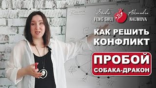 Как решить конфликт по Бацзы | Пробой Собака и Дракон