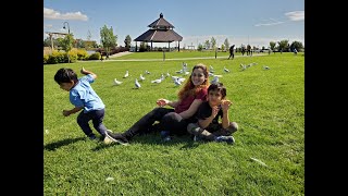 Taran and Family Get Attacked by Seagulls at the Park!!!