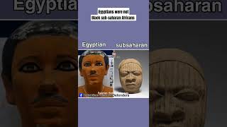 Egyptians VS sub-saharan Africans #egypt #ancientegypt #kemet #مصر #afrocentric #hotep #africa