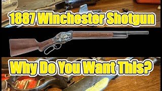 1887 Winchester - The Rube Goldberg Device of Shotguns