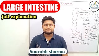 Large intestine || digestive system || large intestine in hindi || for Bams ,Nursing students