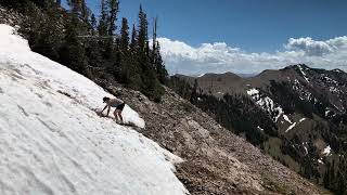 2024-06-12 Montana Saddle Peak Hike