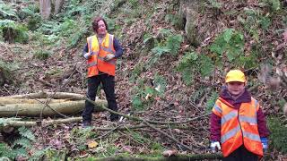 Slow The Flow: Calderdale; Bertie Explains Gully Stuffing