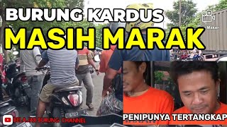 PENIPUAN BURUNG DI PASAR BURUNG KUPANG SURABAYA MASIH MARAK ! POLISI, PEMKOT DIAM SAJA ! VIRALKAN