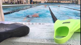 Young swimmer training at her local pool