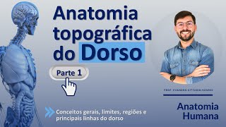 ANATOMIA TOPOGRÁFICA DO DORSO - PARTE 1