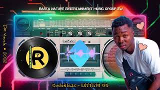 Codeblax - Letting Go (Visualizer) By Dkae Weku Dangerzone 2022 Zimdancehall