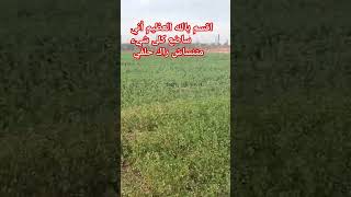 بتوفيق لجميع انشاء الله