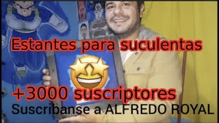 Mi sorpresa de 3 mil suscriptores🙊. Acompáñame a hacer estantes económicos para plantas suculentas.