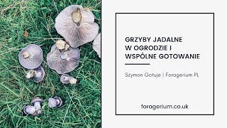 Grzyby jadalne w ogrodzie i wspólne gotowanie.