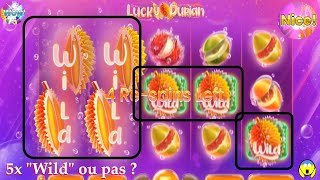 1 2 3 4 5 WILD, bon au moins un ou deux serait pas mal ! Slot LUCKY DURIAN