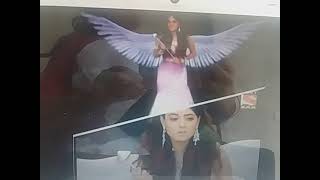 Baalveer all fairies with wings